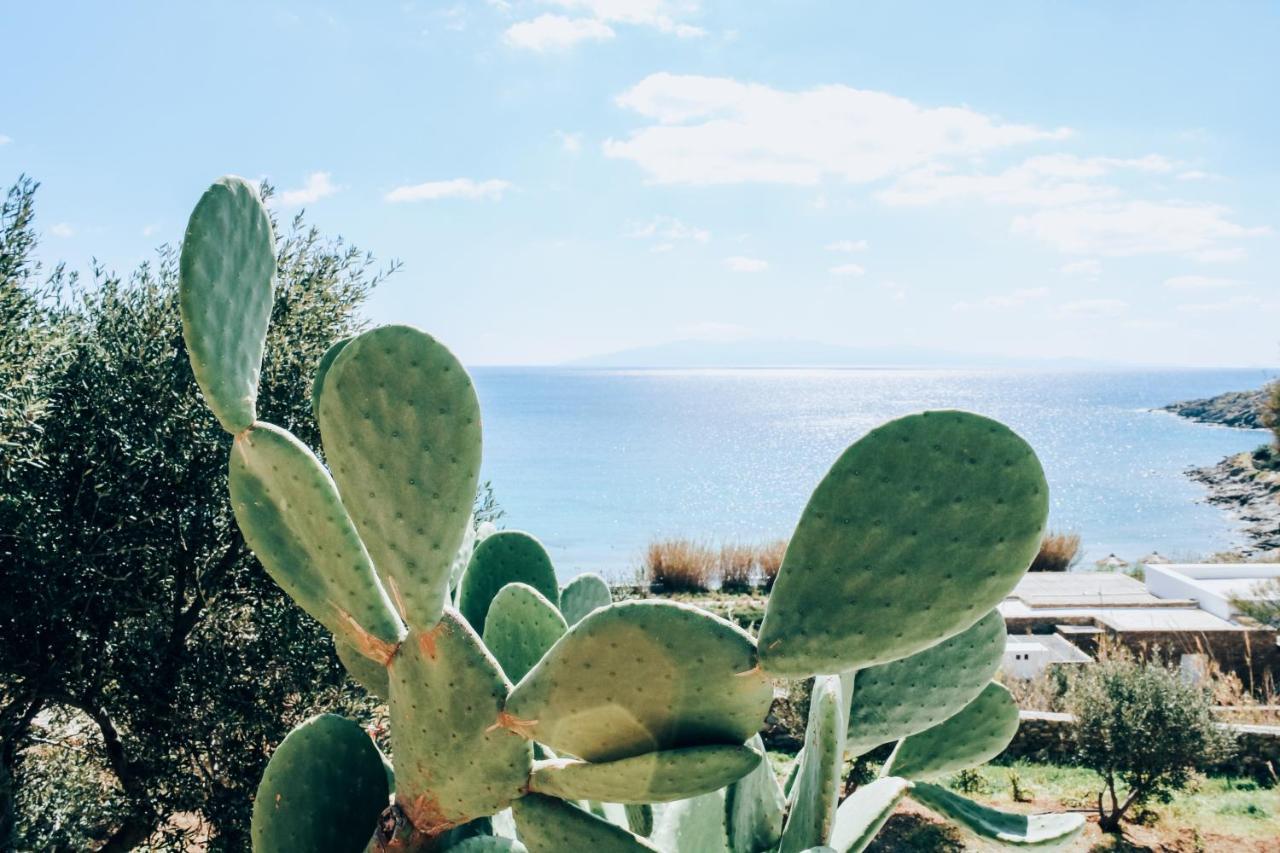 The Elaia House Mykonos Villa Ornos  Eksteriør billede