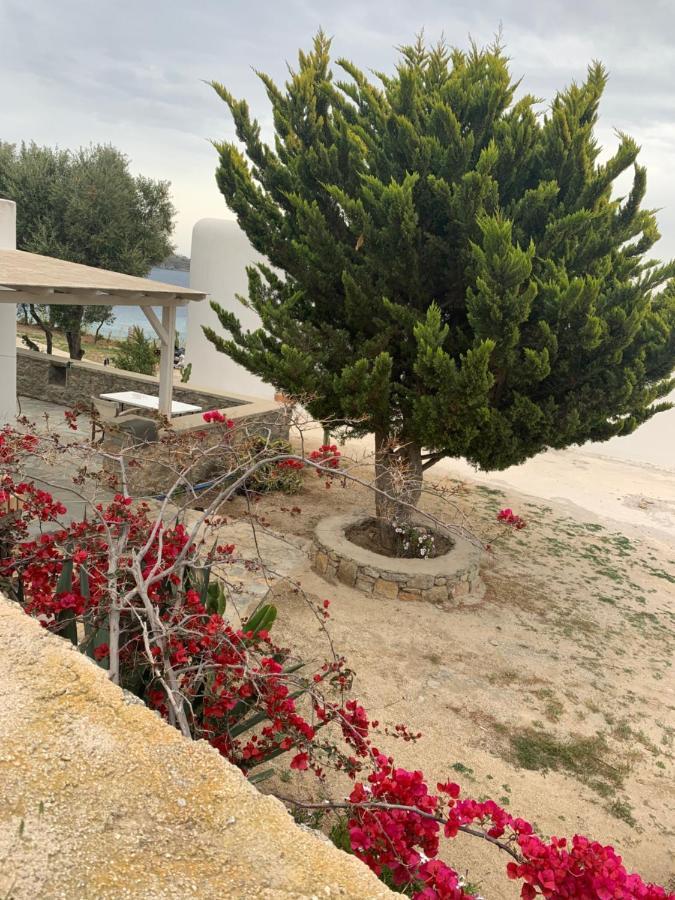 The Elaia House Mykonos Villa Ornos  Eksteriør billede